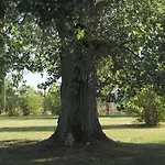 Antico Borgo Delle Rose * Gricignano