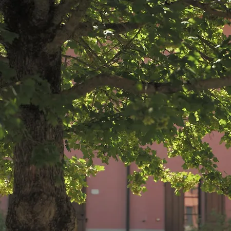 Antico Borgo Delle Rose Farma Gricignano